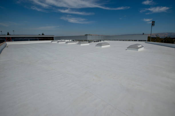 Best Roof Moss and Algae Removal  in Punta Rassa, FL