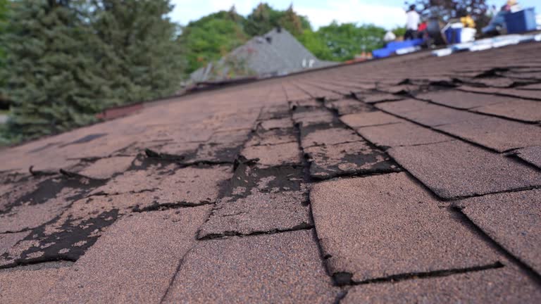Best Gutter Installation and Repair  in Punta Rassa, FL