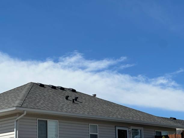Best Roof Moss and Algae Removal  in Punta Rassa, FL